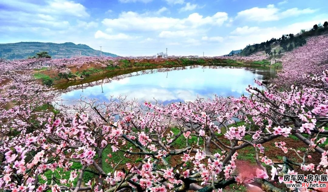 房车网 房车网
