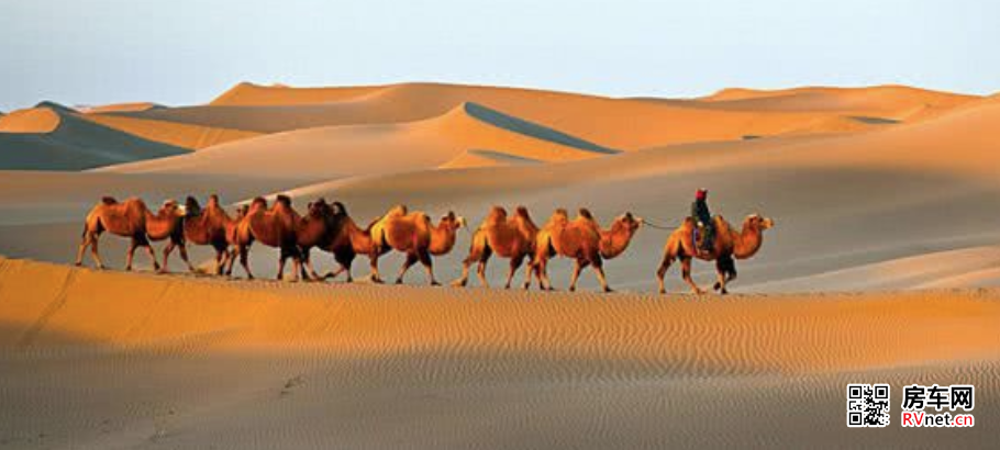 房车网 图片