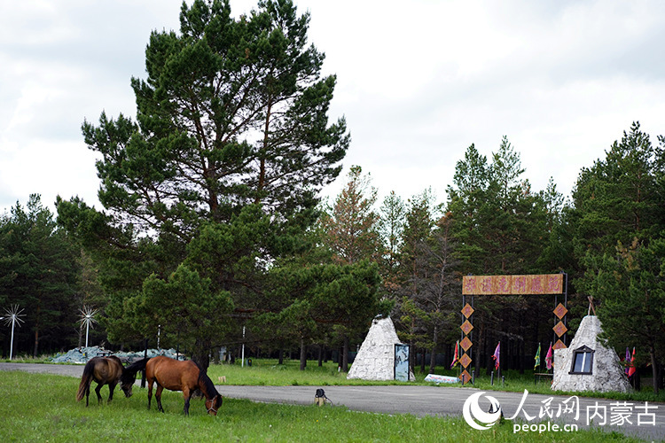 房车网 红花尔基樟子松国家森林公园美景。人民网记者 李睿摄