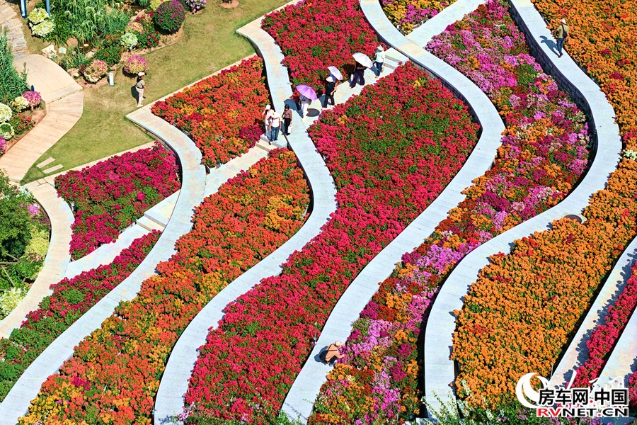 房车网 市民游客在花海中漫步。人民网记者 陈博摄