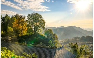 图片 冬趣（97）｜上游主题摄影征稿作品展——何毅作品