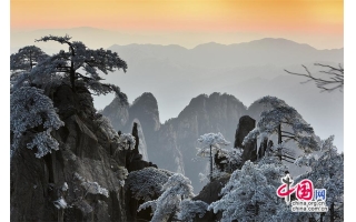 图片 黄山雪后云海日出同框 宛如多彩画卷(图)