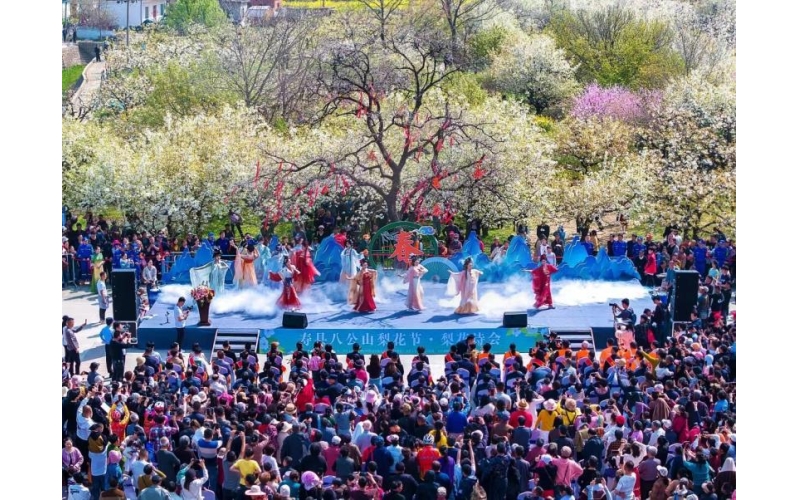 安徽寿县：安丰塘畔赏水韵 八公山下醉梨乡