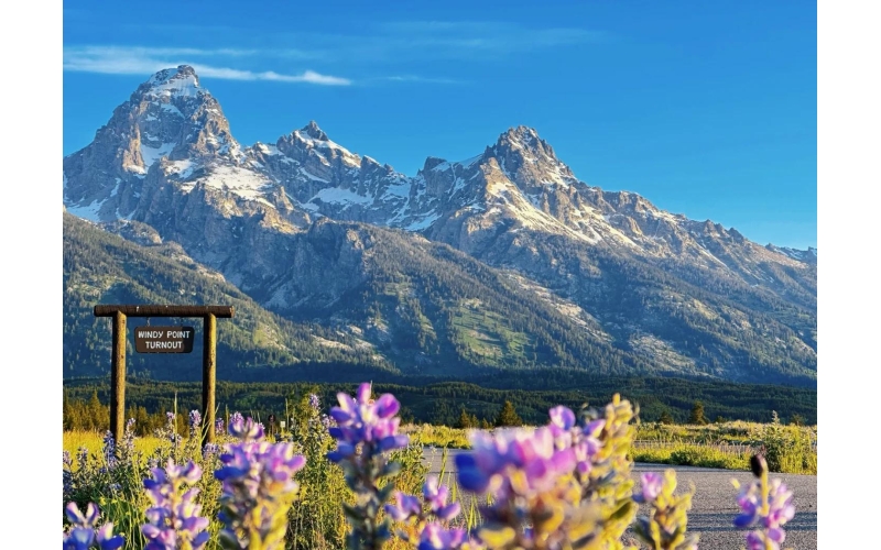 美国家公园实行&ldquo;美国优先&rdquo; 对外国游客涨价