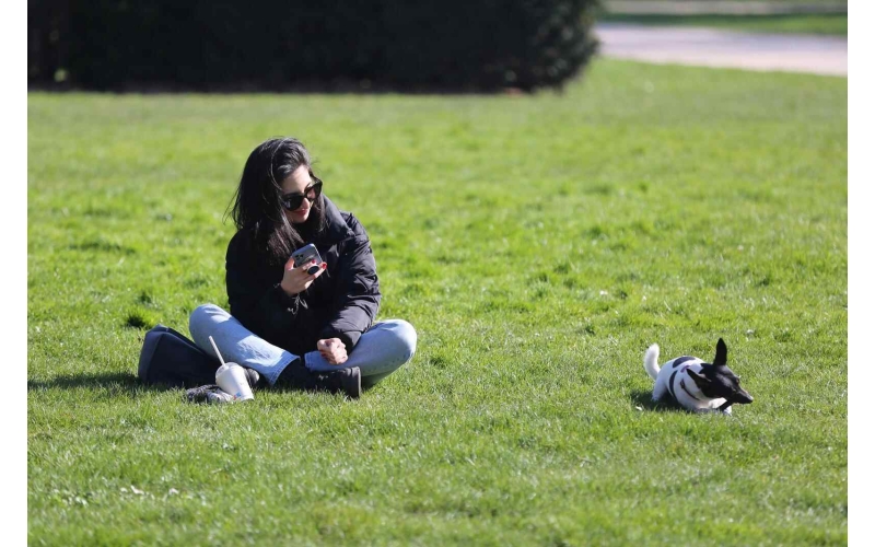 史上最严养犬新规来了！2026年起遛狗不牵绳、犬吠扰民将面临罚款甚至拘留